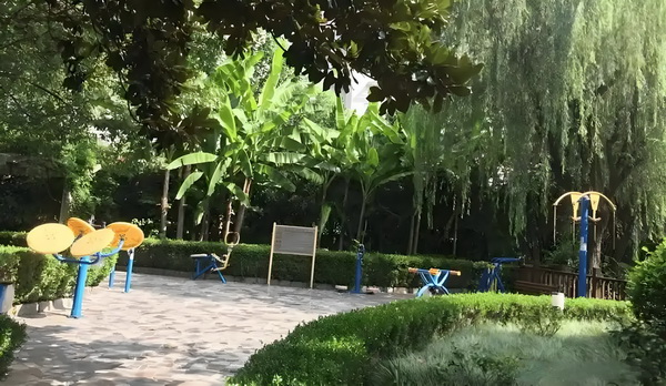 硕士生落户政策_于佩尔:热爱永远不会消失 还有一批用户用&则利