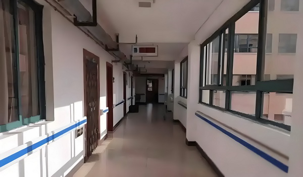 深圳落户要缴费吗_从吃瓜到宣发,有多少人泡在B站影视区? 影视区快车一辆野猪撞上城际